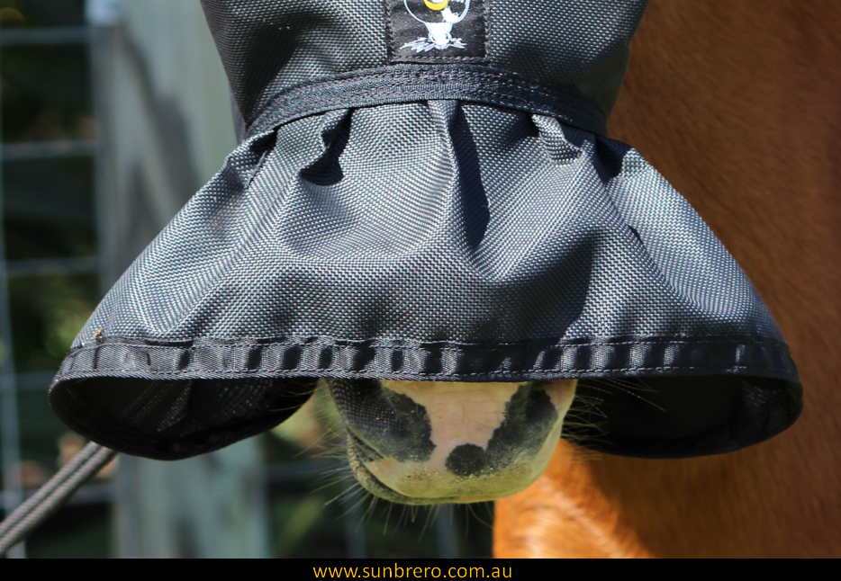 SolarShield® UV Fly Veil - Sunbrero