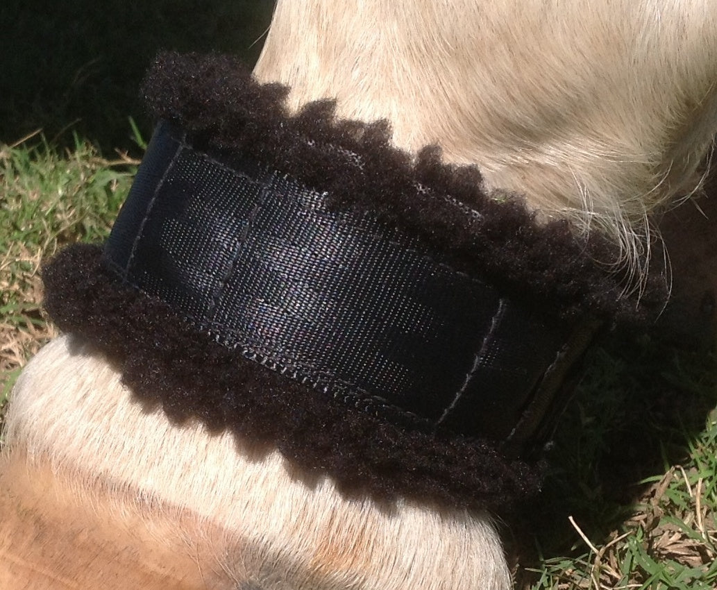 Magnetic Pastern Bands (Pr) - Sunbrero